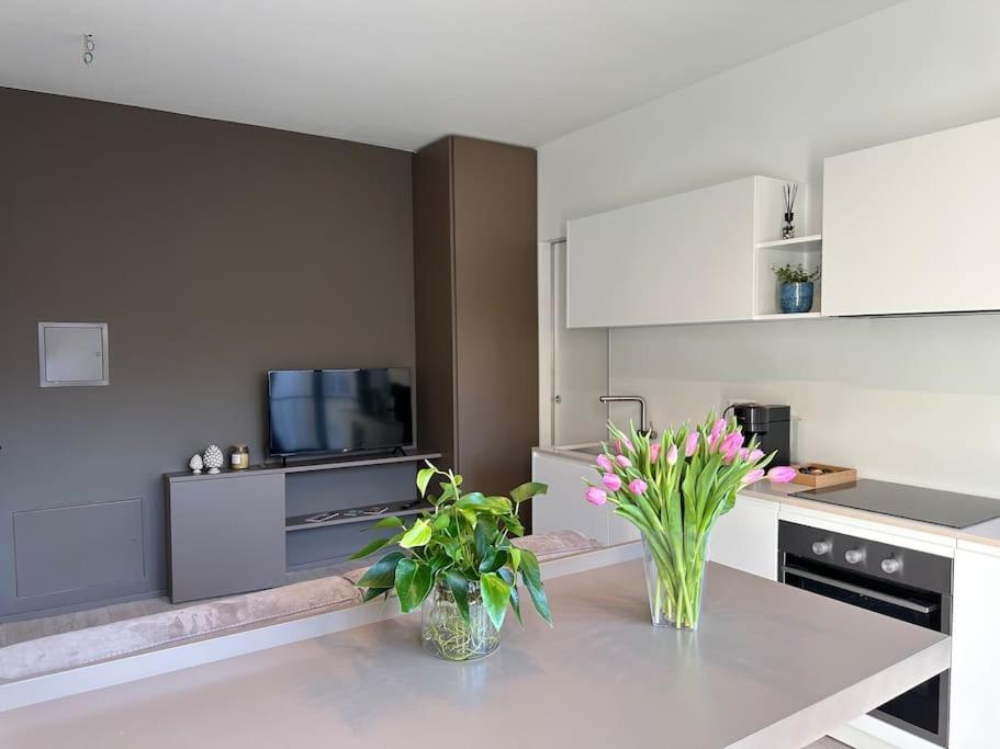 Riva 13 Apartman Lugano Kültér fotó